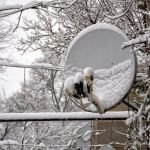 Auswirkungen von Regen, Schnee, Wind und Co auf die Satellitenschüssel